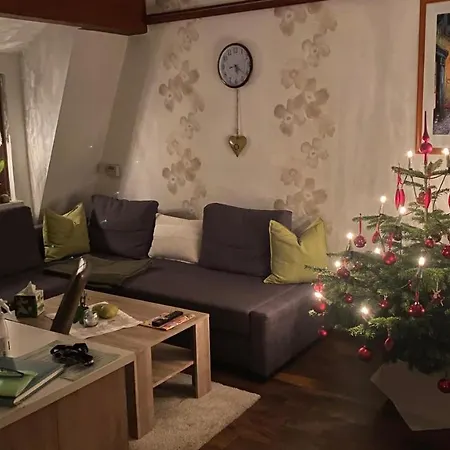 Froeschlein 2 - No Gitters & Craftsman Appartement Ilmenau