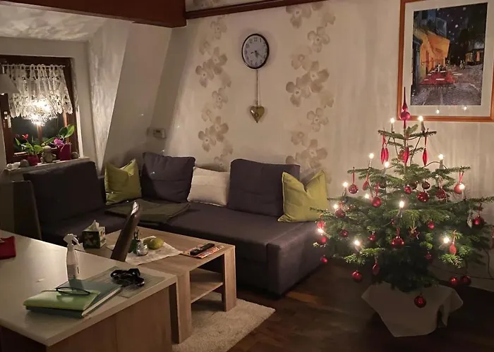 Froeschlein 2 - No Gitters & Craftsman Daire Ilmenau