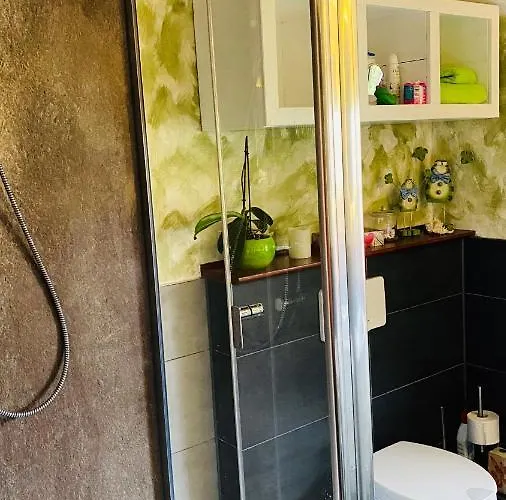 Froeschlein 2 - No Gitters & Craftsman Daire *